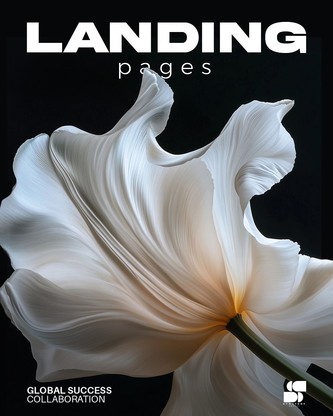 Landing page is not just a website. it is the foundation of your sales.